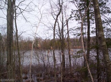 1 Lakeshore, Merrill Township, MI 49309 - photo 3