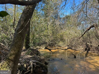 0 Mt Sinai Church Rd unit 10555546, Butler, GA 31006 - photo 7