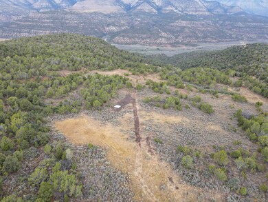 000 X 1 2 Rd, de Beque, CO 81630 - photo 5