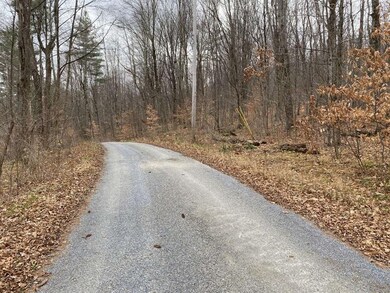 0 Read Farm Ln unit 4839074, Dorset, VT 05253 - photo 2