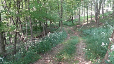 TBD Bryden Rd, Clay, WV 26062 - photo 3