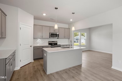 22 Sagamore Ave unit Lot 23, Angier, NC 27501 - photo 4