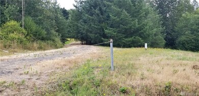 230 Mountview Ln, Ethel, WA 98542 - photo 6