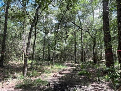 11960 White Oak Run, Conroe, TX 77385 - photo 6