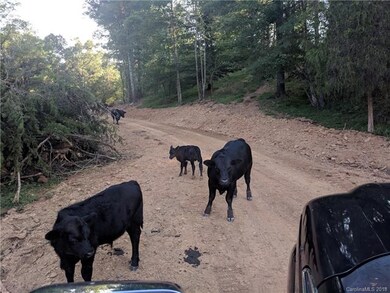 7 Bob Wright Hill Rd, Leicester, NC 28748 - photo 6