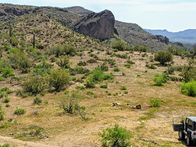 IMG_20200417_113241 (2)