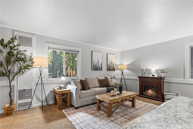 872 Tanager St unit 61, Incline Village, NV 89451 - photo 2