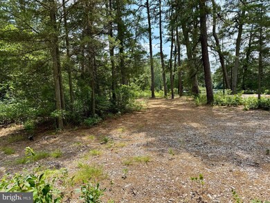 4320 Lake Nescochague Dr, Hammonton, NJ 08037 - photo 4