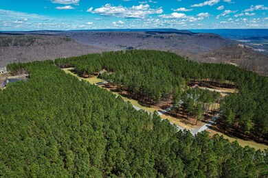 0 Wilderness Dr unit 1352099, Jasper, TN 37347 - photo 2