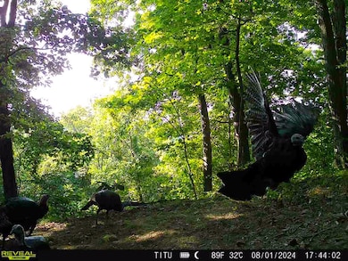 0 Parkinson Rd unit (Tract 8 at Titus), Dexter, OH 45741 - photo 3