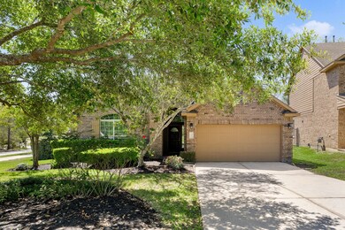 214 Black Swan Place, Magnolia, TX 77354 - photo 3