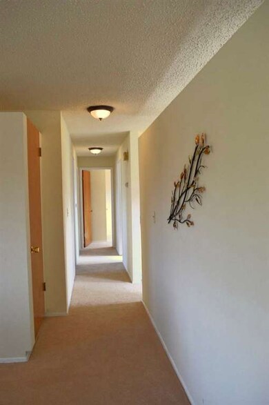 317 S Iowa Ave, East Wenatchee, WA 98802 - photo 4