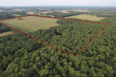 000 E Farm Road 68 unit Parcel 3, Strafford, MO 65757 - photo 6