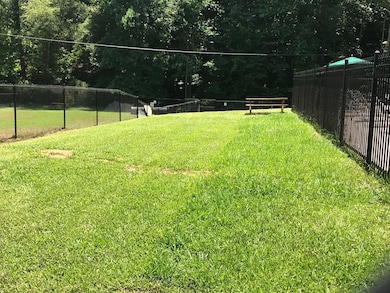 Dog Run