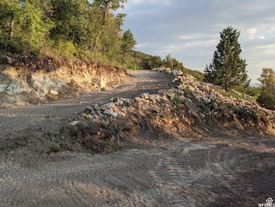 1 Archies Hideaway, Fairview, UT 84629 - photo 3