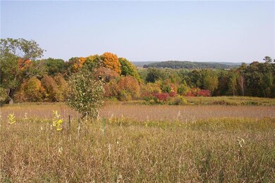 This is a view looking NE when standing at the top of the hill! These views are very special, unique and breathtaking!