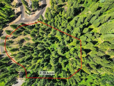 2 Spruce St, McCall, ID 83638 - photo 2