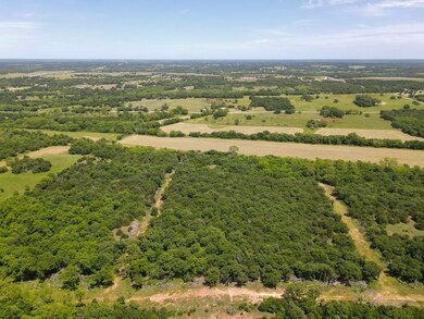 17501 NE 150th St, Luther, OK 73054 - photo 4
