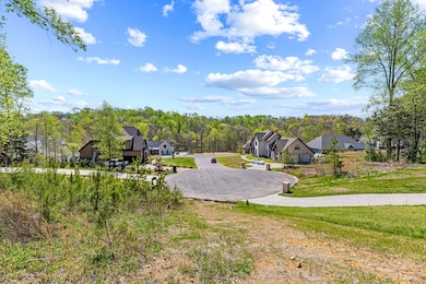 7504 Hunter York Ct, Fairview, TN 37062 - photo 3