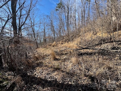 TBD Glen Valley Dr unit 187,200, Weaverville, NC 28787 - photo 6