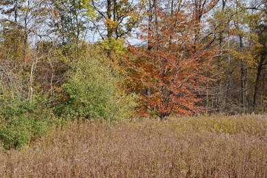 3125 W 1000 N, Potawatami Park, IN 46360 - photo 3