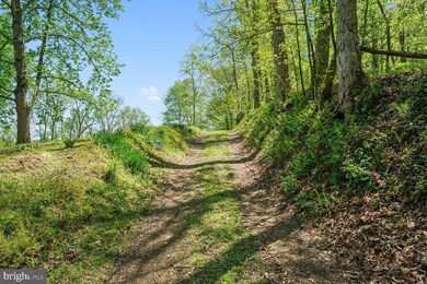 20820 Beaverdam Bridge Rd, Middleburg, VA 20117 - photo 2