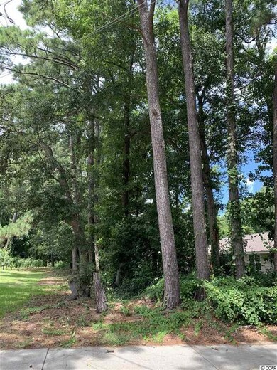 1113 Dunbar St, Myrtle Beach, SC 29577 - photo 4