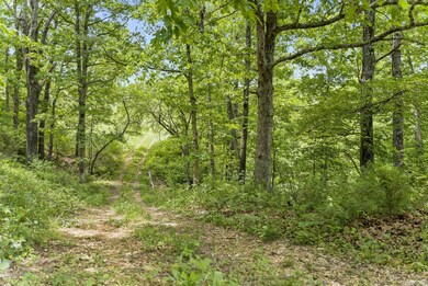 35-web-or-mls-20220517-DSC04333