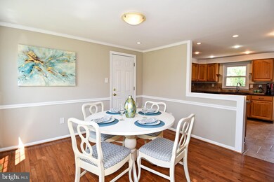 4359 Cub Run Rd, Chantilly, VA 20151 - photo 6