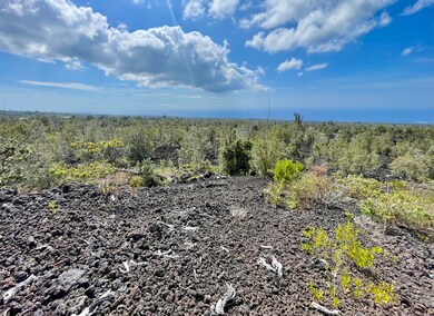 Looking towards the ocean from the elevated house pad location.
