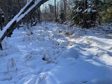 25 Itasca County 25, Wawina Township, MN 55736 - photo 4