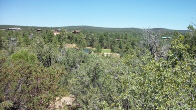 #7 View of CP