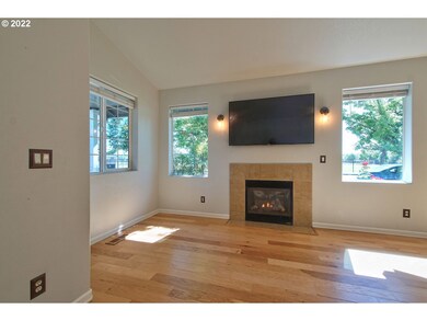 Fireplace Gas