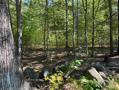 0 Farrington Corner Rd unit 14, Hopkinton, NH 03229 - photo 3