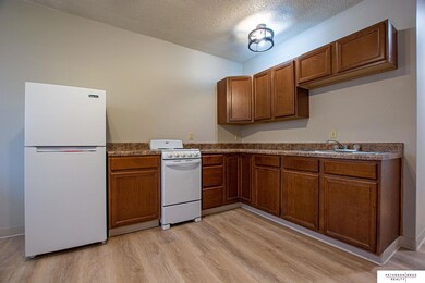 11501 Richland Dr unit 4, Omaha, NE 68138 - photo 3