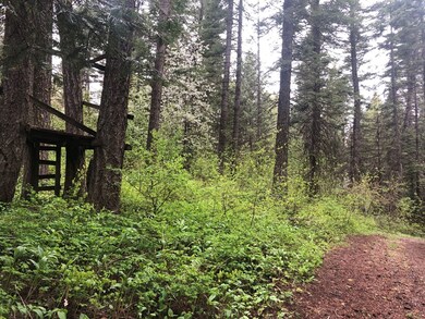 4 Roberts Loop unit 22, Cascade, ID 83611 - photo 4