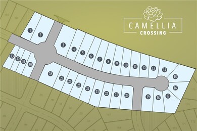 Community Plat. Camellia Crossing, Valley, AL.