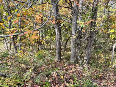 0 Snyder Ln unit 1259475, Bella Vista, AR 72714 - photo 3