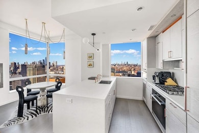 Brooklyn Point unit 48A, Brooklyn, NY 11201 - photo 6