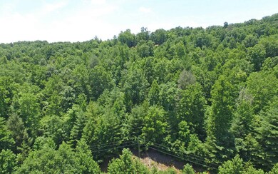 Additional View