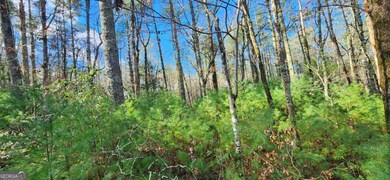 3 LOTS Ridgecrest Dr unit 76,78,80, Blue Ridge, GA 30513 - photo 5