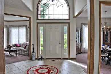 143 Mallard Creek Run, Lagrange, OH 44050 - photo 3