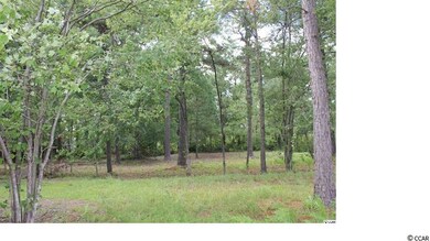 9162 Abingdon Dr, Myrtle Beach, SC 29579 - photo 5