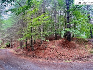 TBD Daniel Pierce Rd, West Jefferson, NC 28694 - photo 3