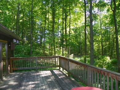 Wooded Lot