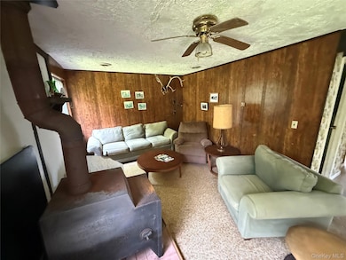 9 Lake Dr, Parksville, NY 12768 - photo 5