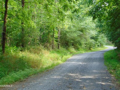 TR 2C Charles roadfront