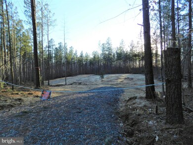 0 Eleys unit VACU2002268, Lignum, VA 22726 - photo 4