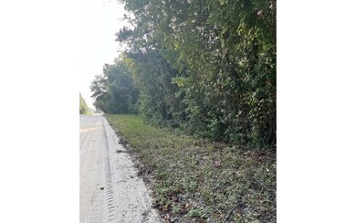 0 SW Iowa Dr unit 121111, Fort White, FL 32038 - photo 5