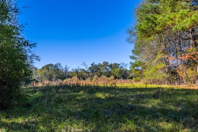 00 County Road 163, Elkhart, TX 75839 - photo 5